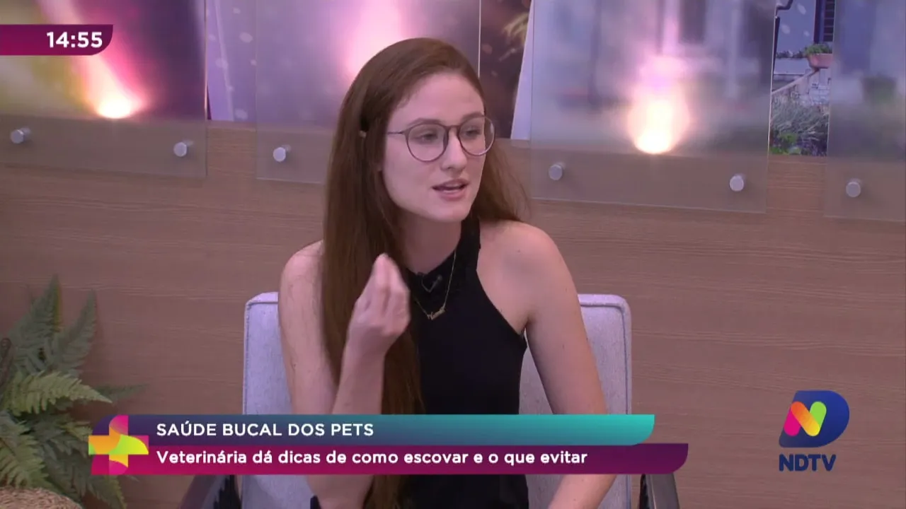 Saúde bucal dos pets: veterinária da dicas de como escovar e o que evitar