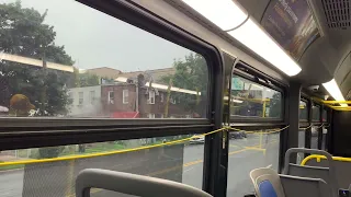 B17 bus