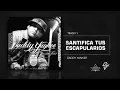 Daddy Yankee - Santifica tus escapularios - Barrio Fino (Bonus Track Version)