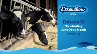 DairyMonth :