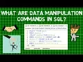 What are Data Manipulation Commands in SQL Data Manipulation Commands Data Control Commands