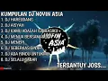 Download Lagu KUMPULAN DJ NOVIN ASIA TERBARU TERPOPULER 2020
