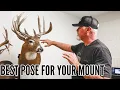 The BEST WAY to MOUNT your Buck Two-Minute-Tuesday