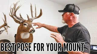 The BEST WAY to MOUNT your Buck Two-Minute-Tuesday