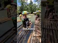Bamboo rafting Jamaica