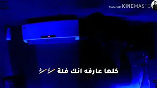 هتصيع على مين يافانله حالات واتساب مهرجان كزاميزا فى التوكتوك فيلو دندنها