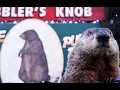 Happy Groundhogs Day