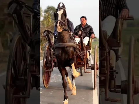 Btao yaar jaldi ? 🤔