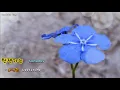 [kpop] 언젠가는 (Someday) - 이상은 (Leetzsche) [Eng sub]