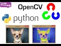 Python OpenCV for Digital Image Processing Computer Vision Electrical Engineering Education