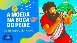 A moeda na boca do peixe | Os milagres de Jesus ~ #SérieIECMKIDS