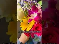 Download Lagu Blooming am I 🥰? Valentine series |Feb8#flowers #valentinesday #love #ashortaday #rose