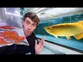 LARGEST EXOTIC FISH STORE TOUR