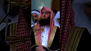 فخلف من بعدهم خلف اضاعوا الصلاه واتبعوا الشهوات فسوف يلقون غيا محمد اللحيدان الاسلام القرآن الكريم 