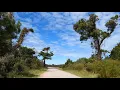 Chincoteague Assateague Wildlife Loop Bike Ride No Music