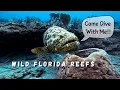 Florida Scuba Diving Boynton Beach West Palm Beach GoPro 4K