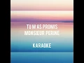 Tu m’ais promis - Monsieur Perine - Karaoke