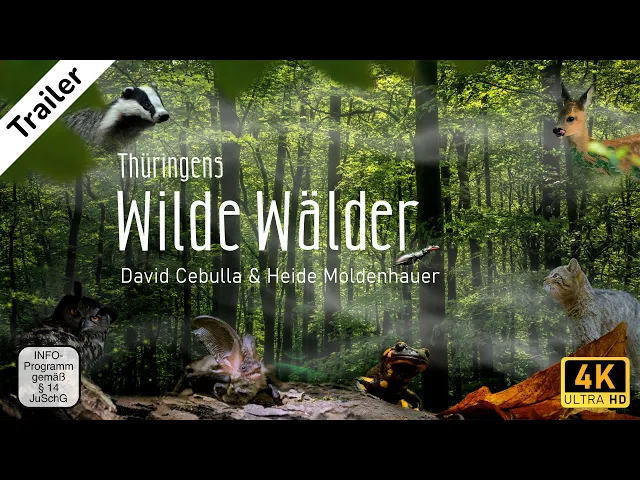 background images