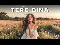 Download Lagu Tere Bina - MITRAZ (Recreated)| Vibes Fr | Latest Hindi Song