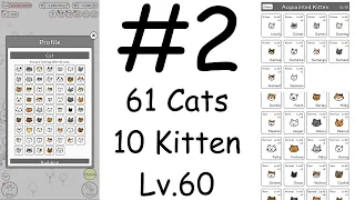 Cats Are Cute 61 Cats 10 Kitten All Lv 60
