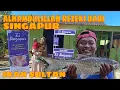 Download Lagu ALHAMDULILLAH REZEKI DARI SINGAPURA||JEKPOT IKAN TERMAHAL IKAN MAHSER