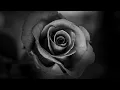 Nakkia Gold-Let You Know