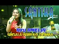 Download Lagu Ayu Amelia 💫  Srigala Berbulu Domba  ❗ Santika Nada