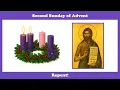 Repent!  Homily for the 2nd Sunday of Advent, Year A.