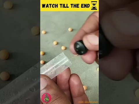 #jaidmeel
