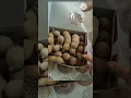 Sweet Tamarind from Thailand | Mithi Imli | Misti Tetul #shorts #food #foodie #shortsfeed