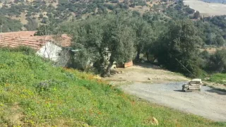 شوف الحقرة شوف  شوف الحقرة شوف