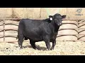 LOT 47 Kovarik Smooth Bore 452