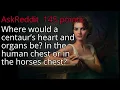 Download Lagu Where would a centaur’s heart and organs be? In the human chest or in the horses chest?