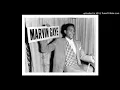 MARVIN GAYE - HITCH HIKE