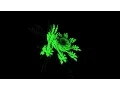 Nice Graphical effect with Barnsley Fern Fractal algorithm N 2 python with source code