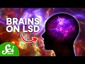 What Happens to Your Brain on LSD Can it be Useful