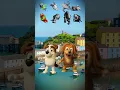 Download Lagu Party chaos breaks out in Tenby Turkey streets!, Caos de fiesta estalla en calles de Tenby! 🕺