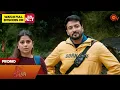 Lagu Singappenne - Promo | 20 Dec 2025 | Tamil Serial | Sun TV