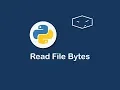 Read File Bytes in Python