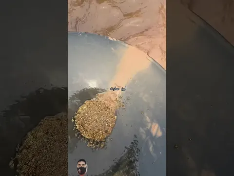 Clay Mud Hides Gold