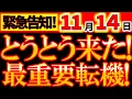 【※表示されたら絶対見て⚠️】11月14日 人生激変の最重要ポイントが来た！必ず●●して！今やらないでいつやるの？ここで未来が決まる！絶対メモして！守って！