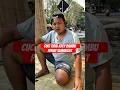 Download Lagu cuci tirai krey bambu penuh semangat #kreyorbit #tiraibambu #kreybambu #cucibambu #penuhsemangat