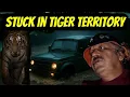 Download Lagu Took Shelter in Gypsy | Cloud Burst case Flooding in Jim Corbett Forest | Stuck in Tiger Territory