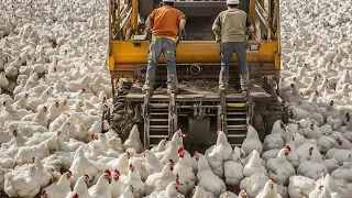 Farmers Make Millions Of Dollars Using These Modern Machines - Farming Documentary #2