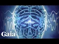 How Neuroplasticity Can Unlock Supernatural Powers