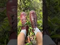 Download Lagu 🍈Passion Fashion🌱🍀✨ #streetfashion #outfit #drmartens #churchmonkey #oxblood #passionfruit