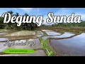 Download Lagu Degung Sunda Pernikahan Cocok diputar Sambil Ngopi di sawah yang baru selesai di cangkul 