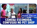 Download Lagu Câmera Escondida: Confusão no pet shop