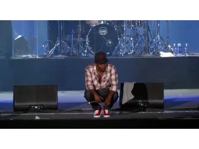 Kendrick Lamar Made in America 2014 Full Set HD