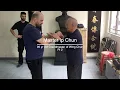 Lagu Chi Sau with SiGung Ip Chun Part 2